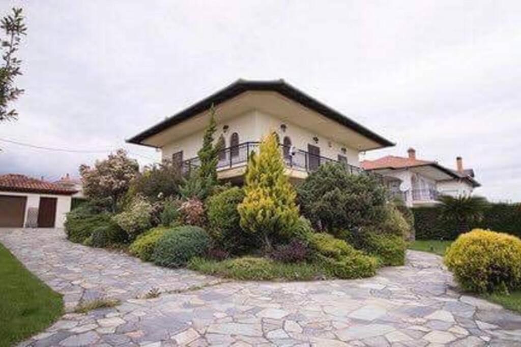 Olympus Leptokaria'S Luxurious Villa Buitenkant foto